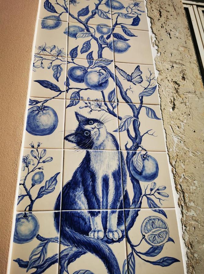 Vida A Portuguesa, Charming 